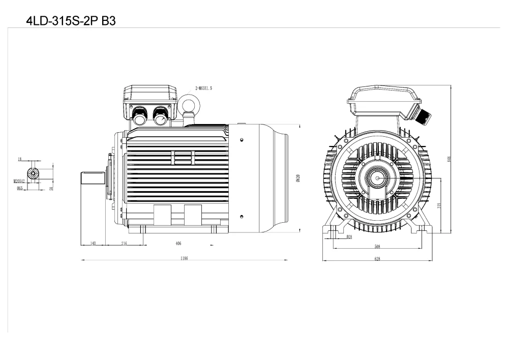 Elektromotor 4LD315S-2 110kW, 2980ot.