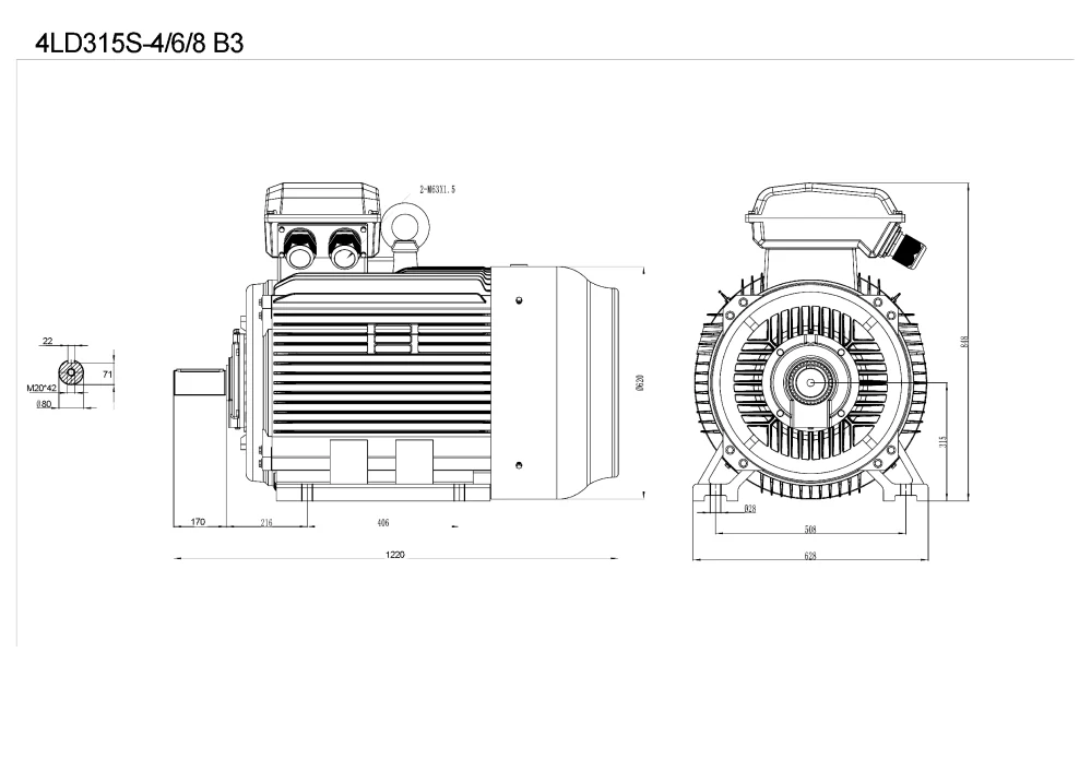 Elektromotor 4LD315S-4 110kW, 1485ot.