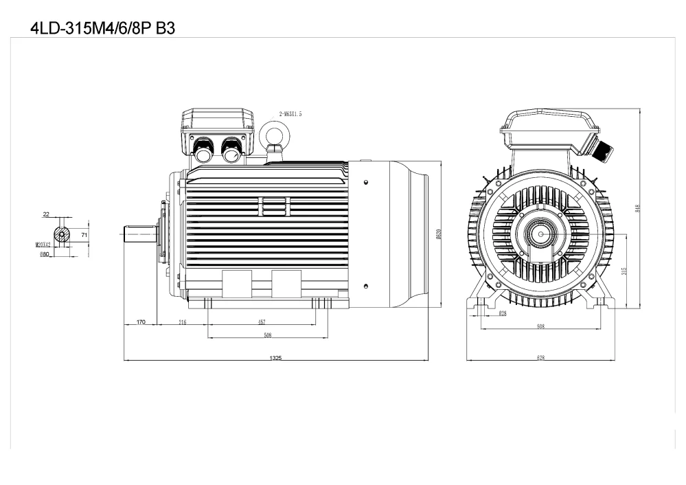 Elektromotor 4LD315M-4 132kW, 1485ot.