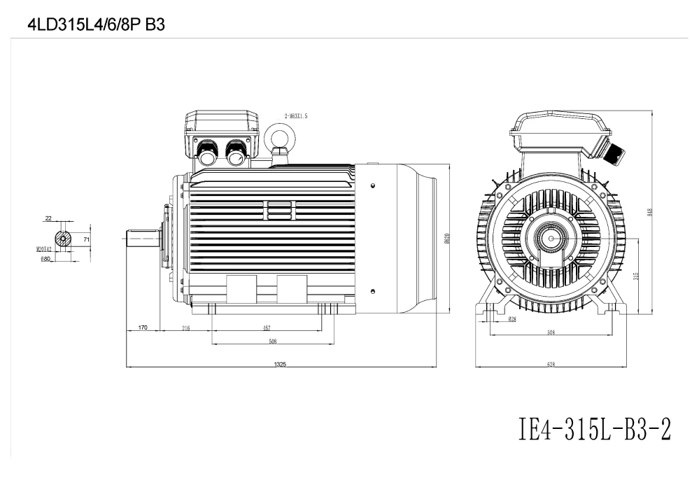 Elektromotor 4LD315L1-6 110kW, 990ot.